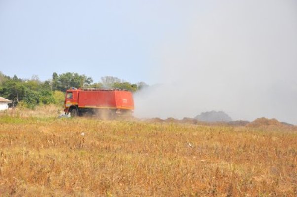 În Tortomanu au ars 5 tone de paie din cauza căldurii